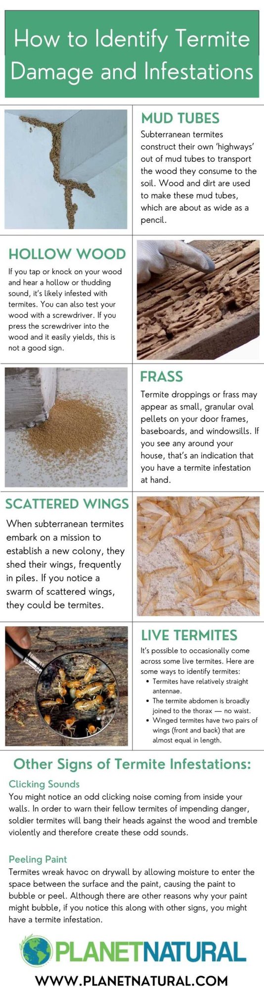 4 Non-Chemical Measures