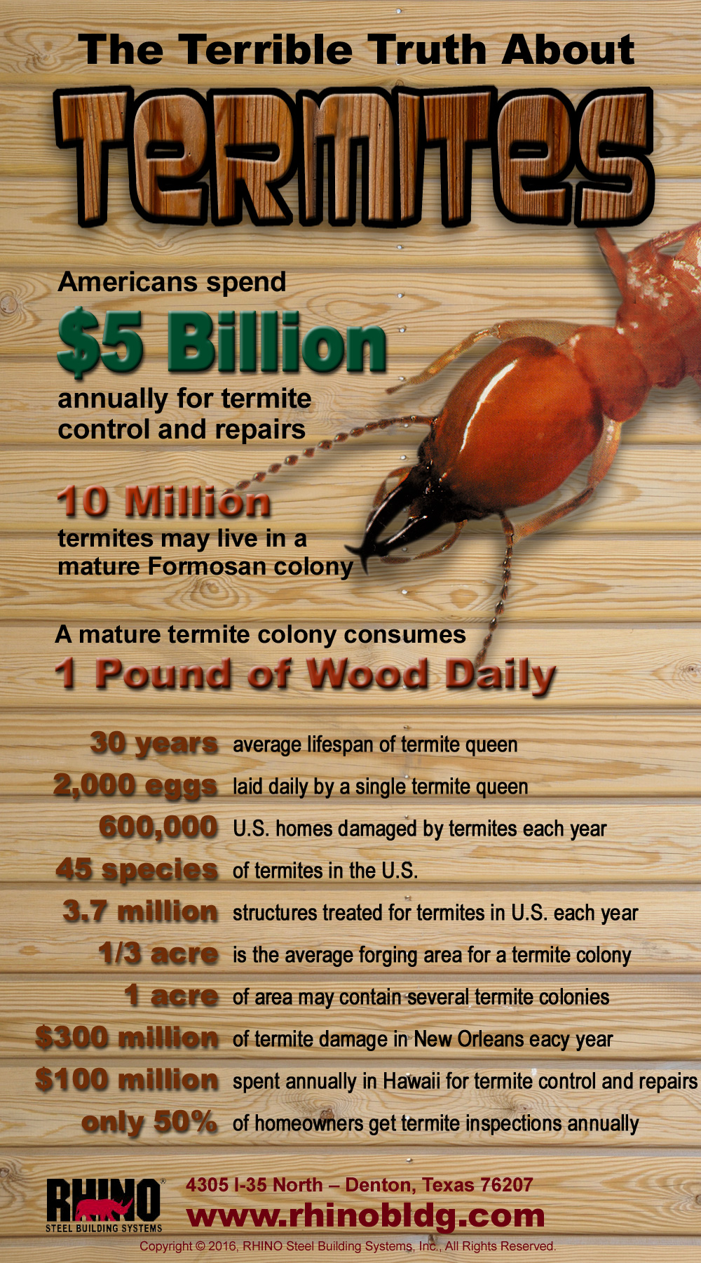 Benefits Of Termites Eating Wood