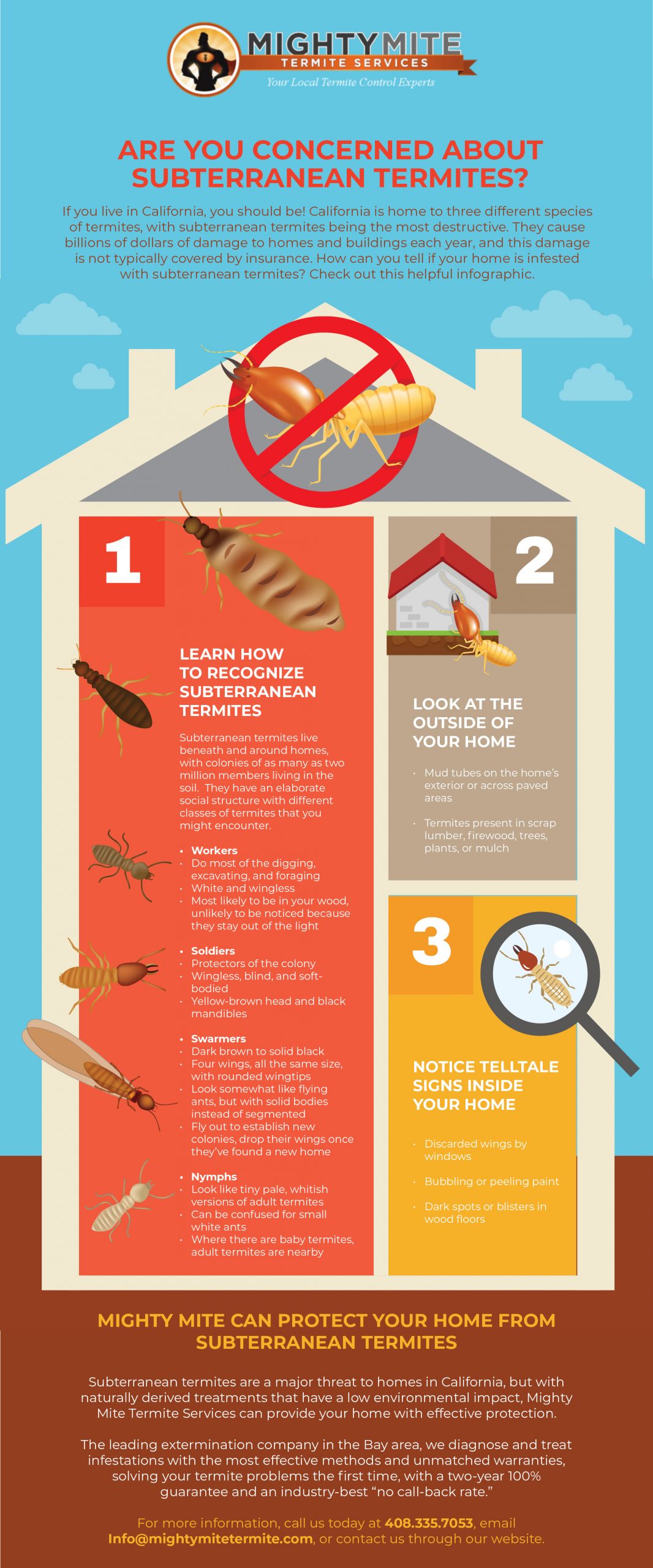 Causes Of Termites
