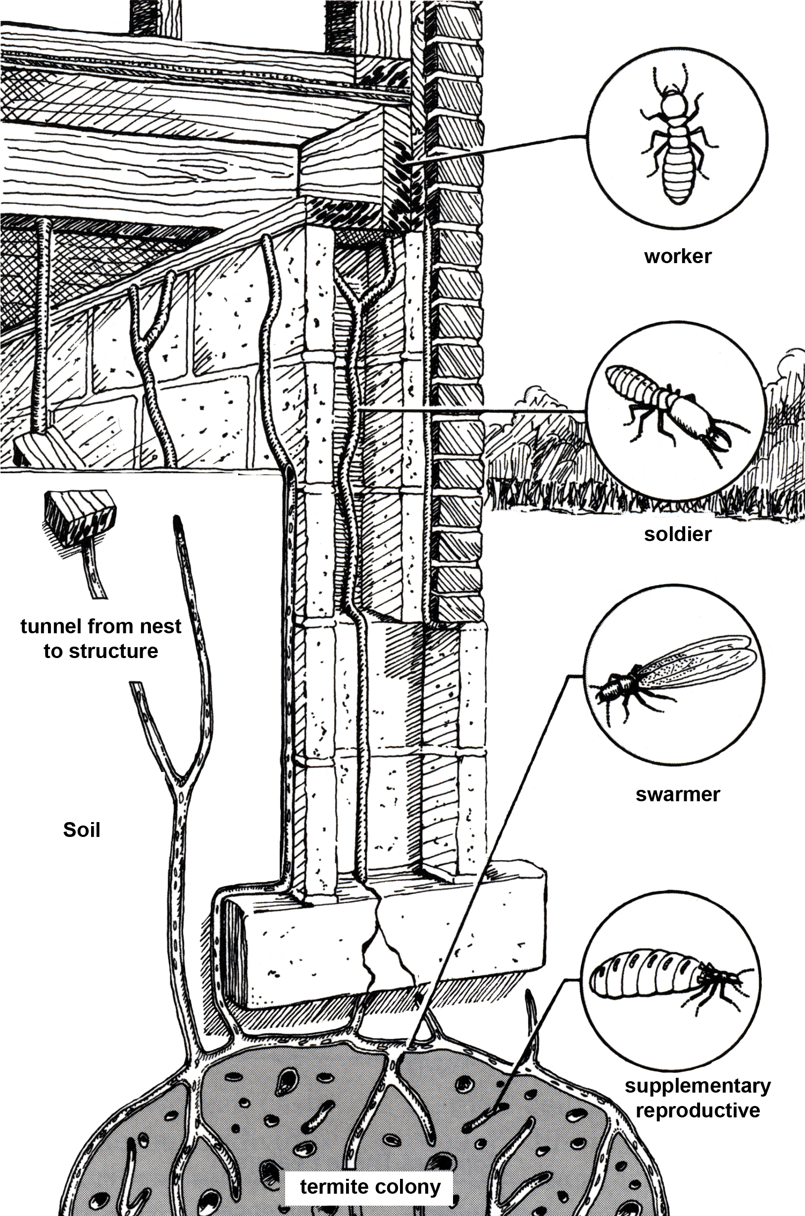 Control Measures