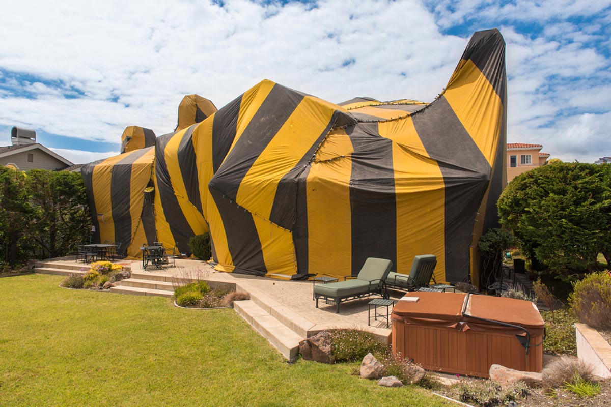 Cost Of Tenting For Termites