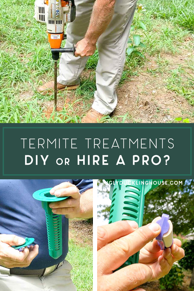 Do-It-Yourself Treatment For Termites