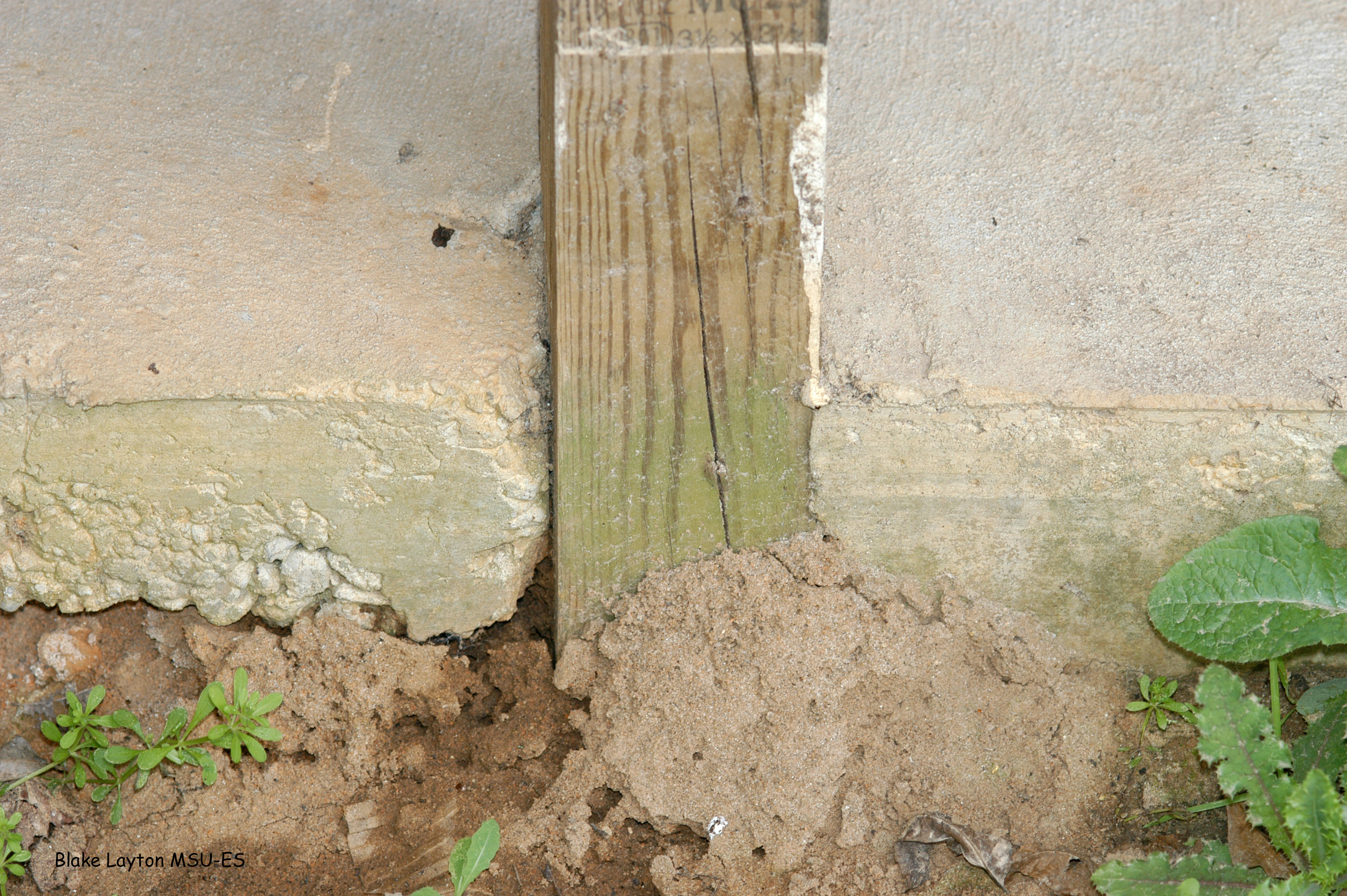 Eliminate Wood To Soil Contact