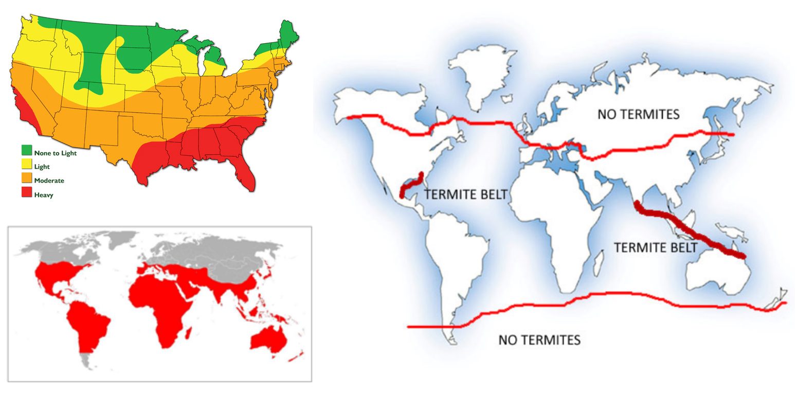 Habitat And Distribution