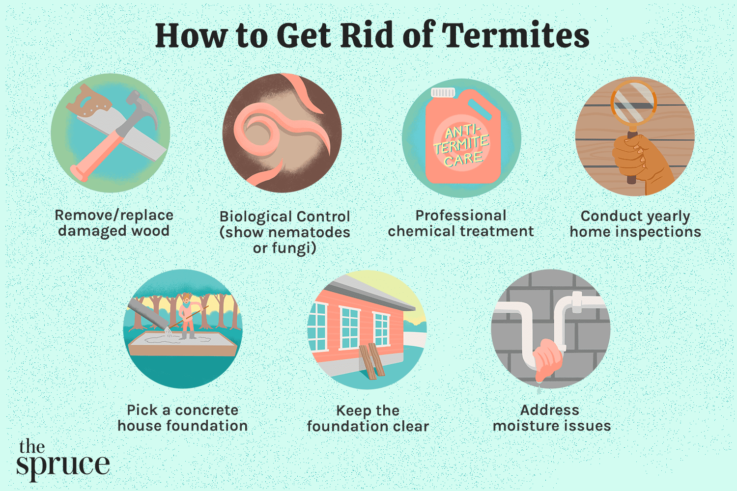 How To Apply Nematodes To Treat Termites