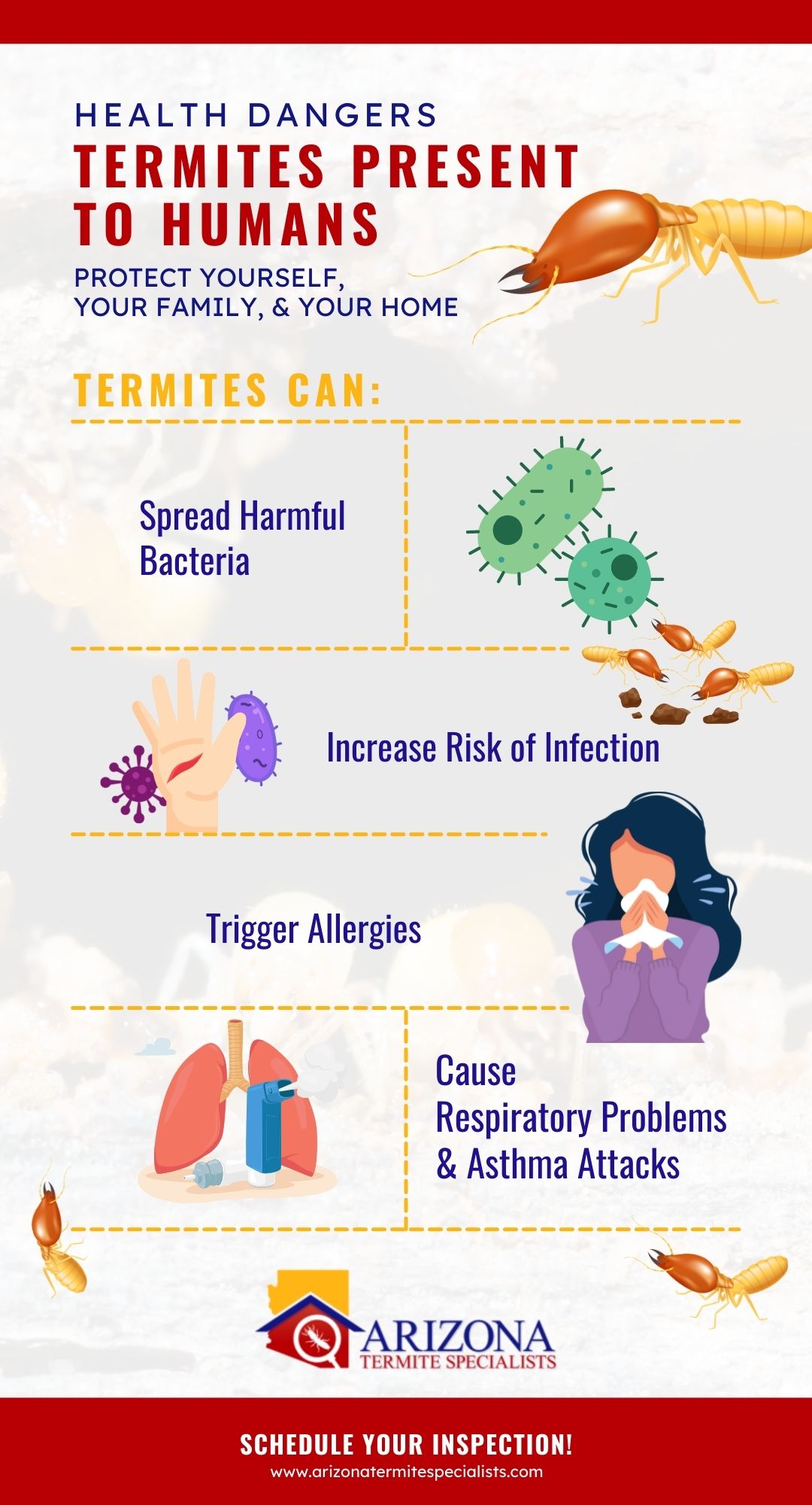 Impact Of Termites On Humans
