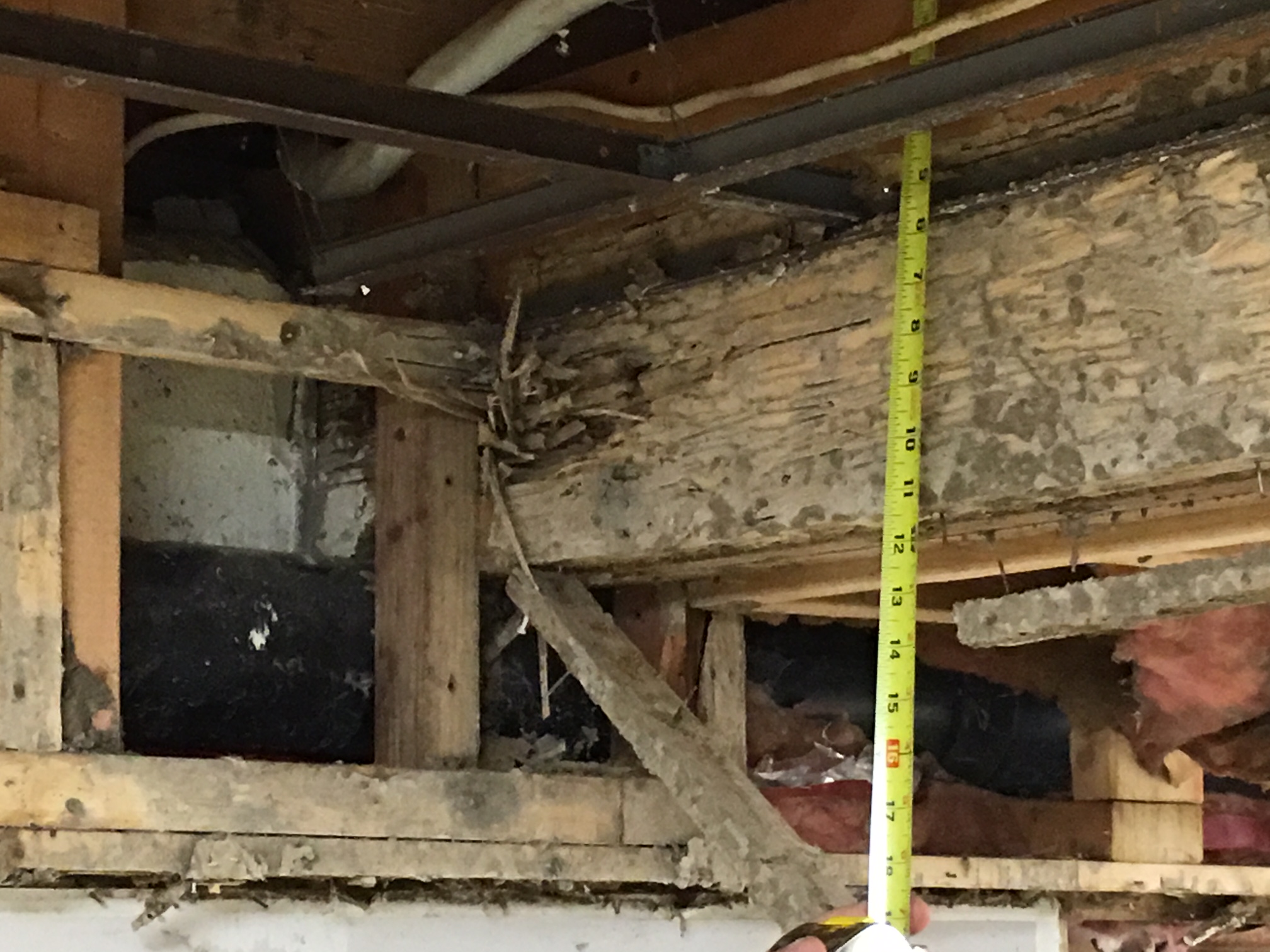 Maryland Termite Control Methods