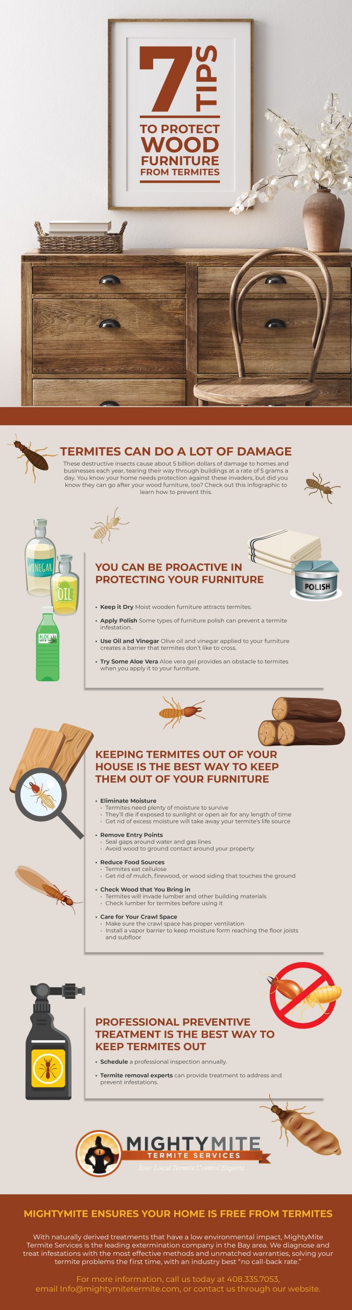 Preventing Termites In Furniture