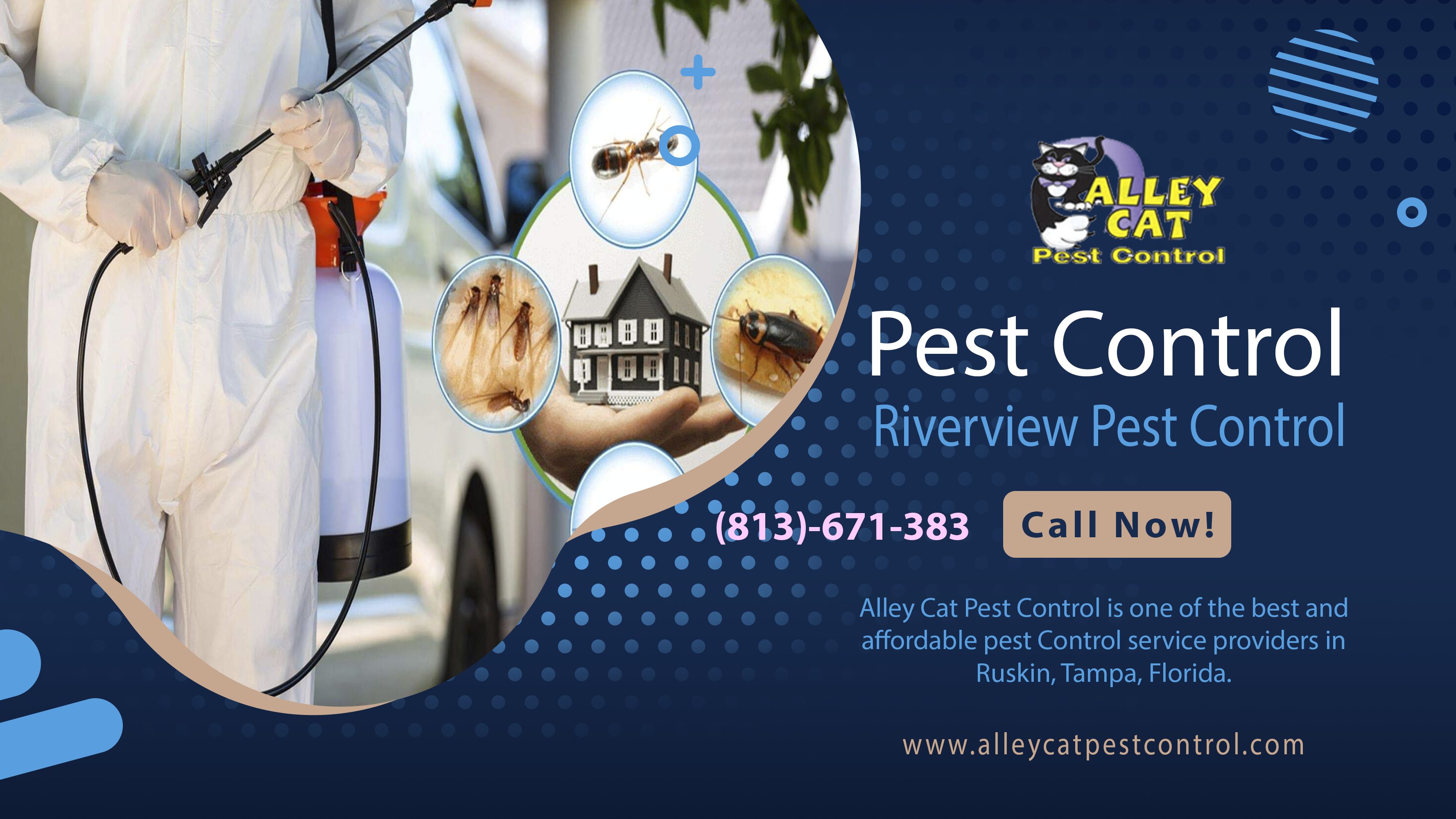 Professional Services For Termite Control