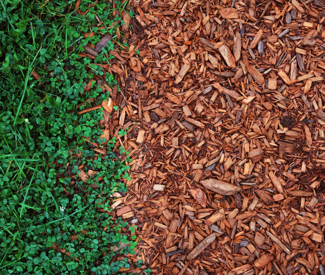 The Benefits Of Cedar Mulch